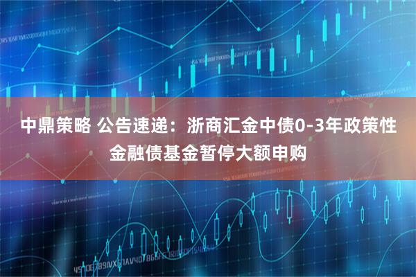 中鼎策略 公告速递：浙商汇金中债0-3年政策性金融债基金暂停大额申购
