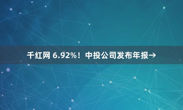 千红网 6.92%！中投公司发布年报→