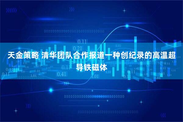 天金策略 清华团队合作报道一种创纪录的高温超导铁磁体