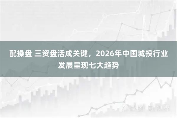配操盘 三资盘活成关键，2026年中国城投行业发展呈现七大趋势