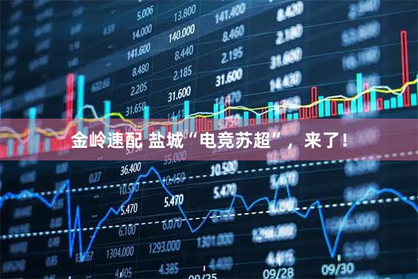 金岭速配 盐城“电竞苏超”，来了！