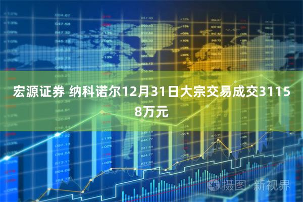 宏源证券 纳科诺尔12月31日大宗交易成交31158万元
